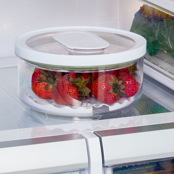 iDesign iDFresh Refrigeradora Bowl Grande
